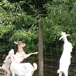Agroturystyka,, Ranczo Kruszynki