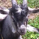 Bauernhof Agroturystyka,, Ranczo Kruszynki