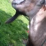 Bauernhof Agroturystyka,, Ranczo Kruszynki