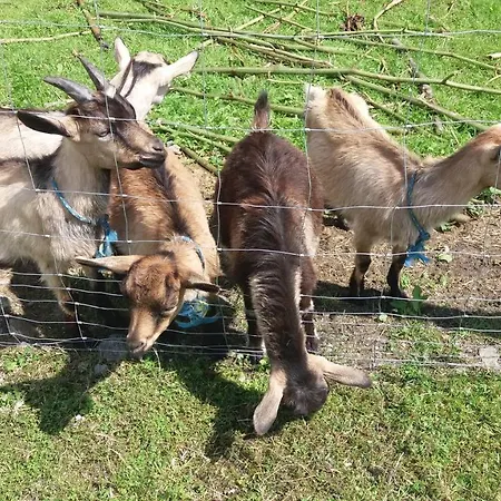 Agroturystyka,, Ranczo Kruszynki