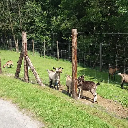 Agroturystyka,, Ranczo Kruszynki