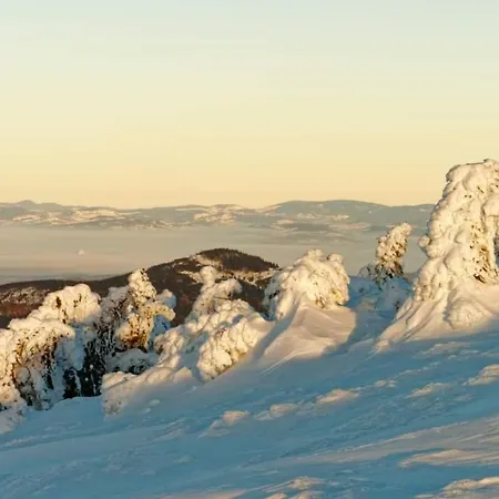 Agroturystyka,, Ranczo Kruszynki