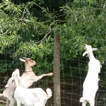 Agroturystyka,, Ranczo Kruszynki