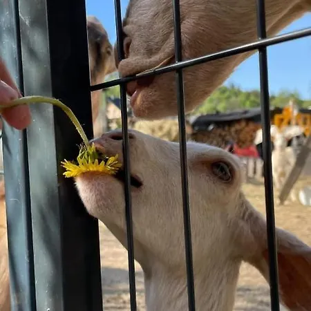 Agroturystyka,, Ranczo Kruszynki