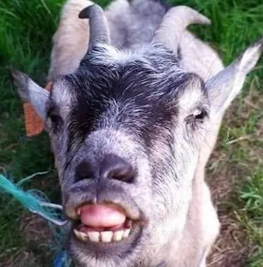 Agroturystyka,, Ranczo Kruszynki