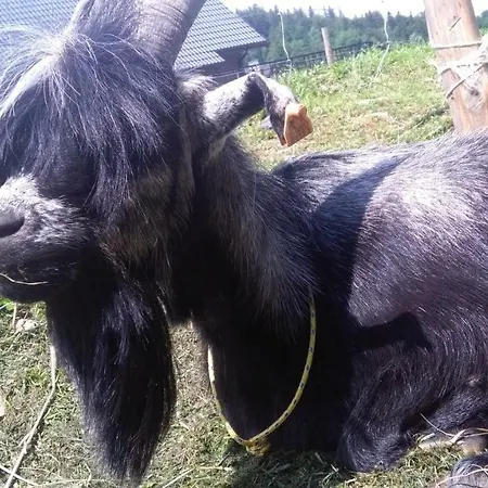 Farmház Agroturystyka,, Ranczo Kruszynki