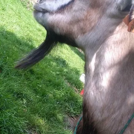 Farmház Agroturystyka,, Ranczo Kruszynki