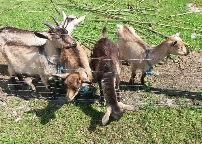 Agroturystyka,, Ranczo Kruszynki