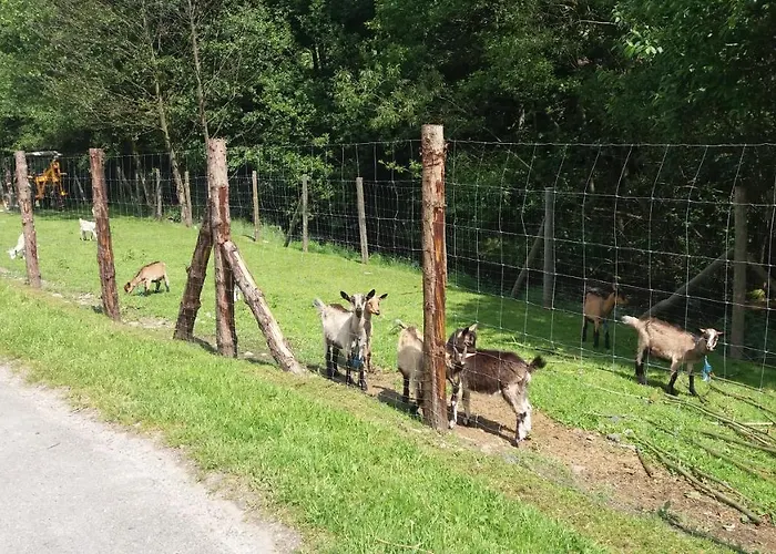 Agroturystyka,, Ranczo Kruszynki