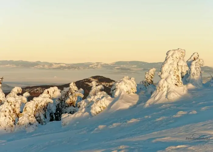 Agroturystyka,, Ranczo Kruszynki