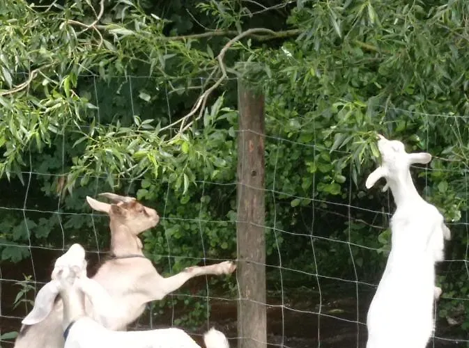 Agroturystyka,, Ranczo Kruszynki