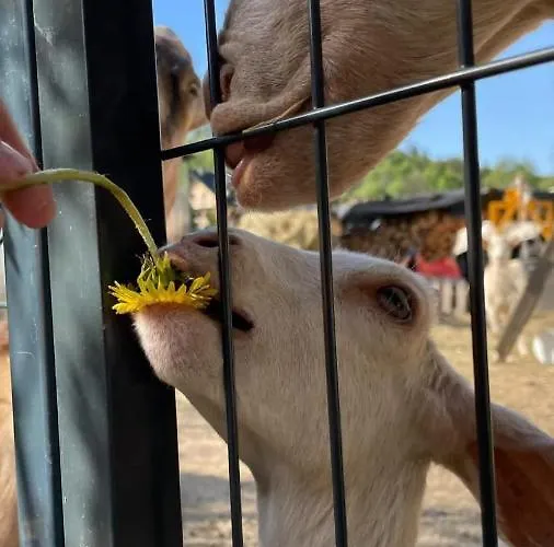 Agroturystyka,, Ranczo Kruszynki