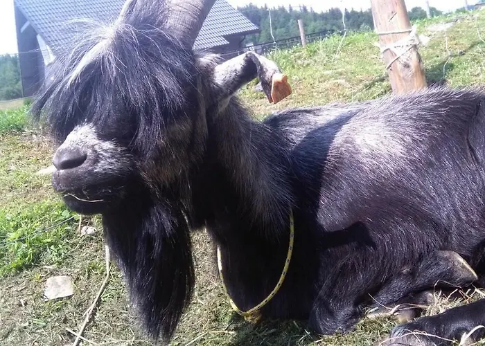 Bauernhof Agroturystyka,, Ranczo Kruszynki