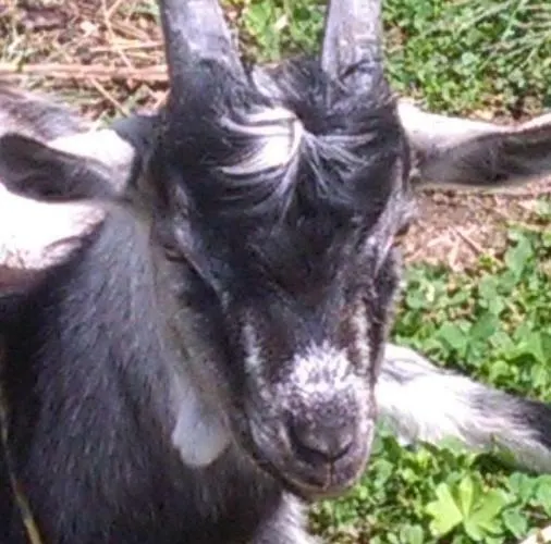 Bauernhof Agroturystyka,, Ranczo Kruszynki